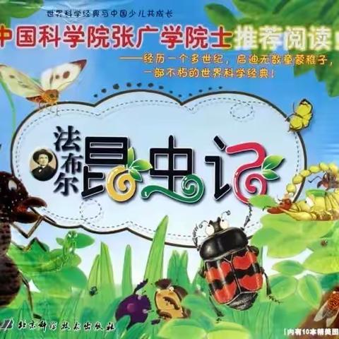 海口市美兰区中心幼儿园——大三班绘本推荐《昆虫记》