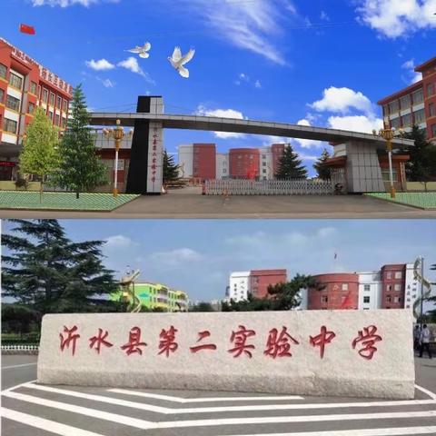 天道酬勤——二实验学子勇创佳绩！