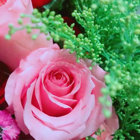 针对中老年客户群体，企业定制花艺课程