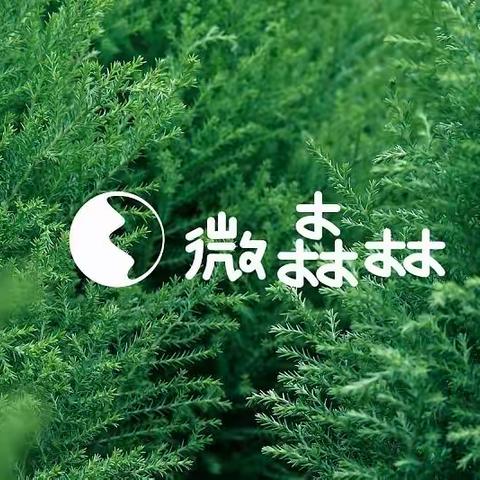 🌻创角落之美🌸赏自然之趣🍃—宇宙一班之微森林🌵