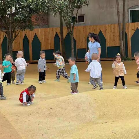 川幼春晖森林幼儿园---萌芽班成长日记（第三周）