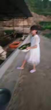 一假一技能，一期一成长，华润希望小学四年级五班冯钰婷