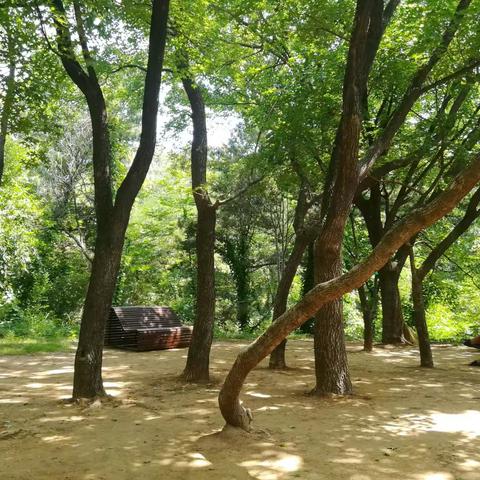 在秦皇岛的那些日子里（二）