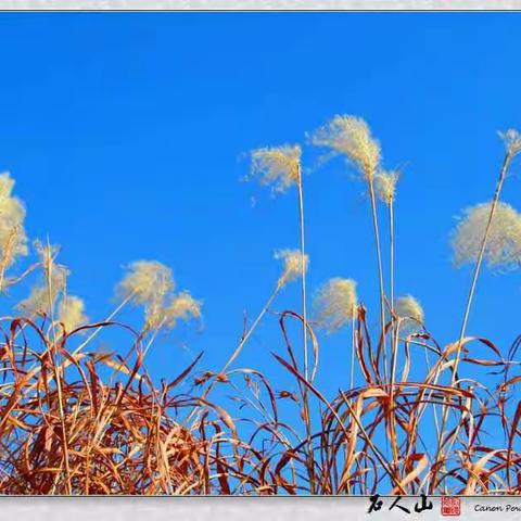 色彩斑斓的季节（六）