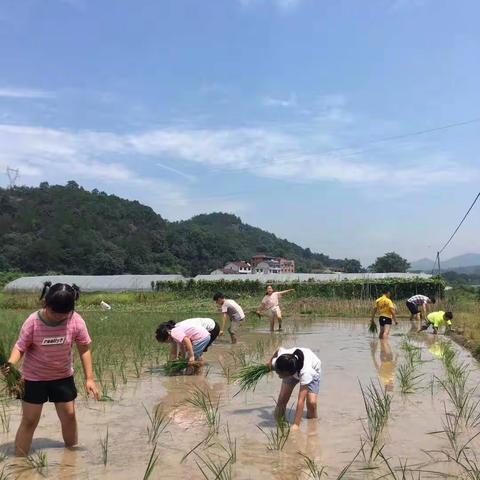 悦读越快乐读书会 第九十三期