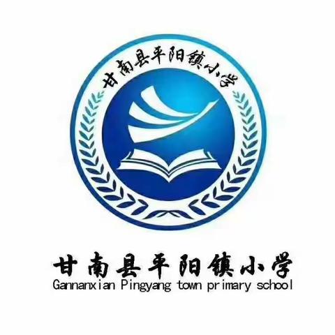 文明其精神   野蛮其体魄－平阳镇小学开展《扣好第一粒扣子》主题班会活动