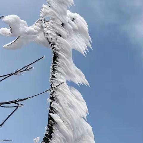 美丽的大寒山雪景