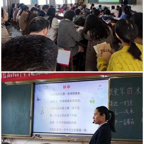 落实“双减”抓课堂，精准教学提质量