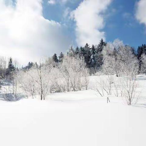 等一场雪