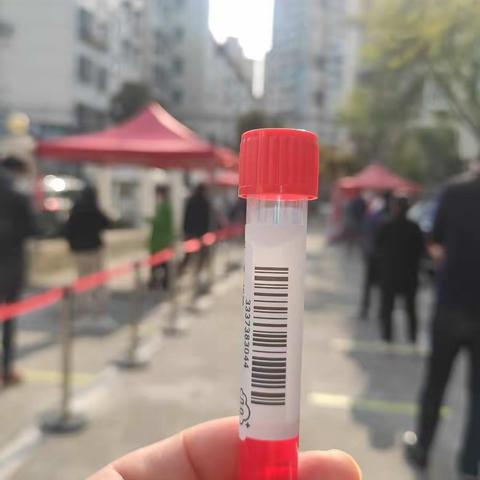 抗 疫 杂记    (明天会更好)