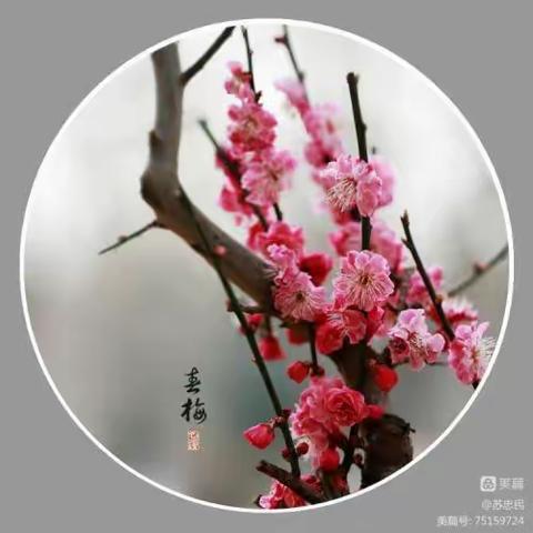 四季的风