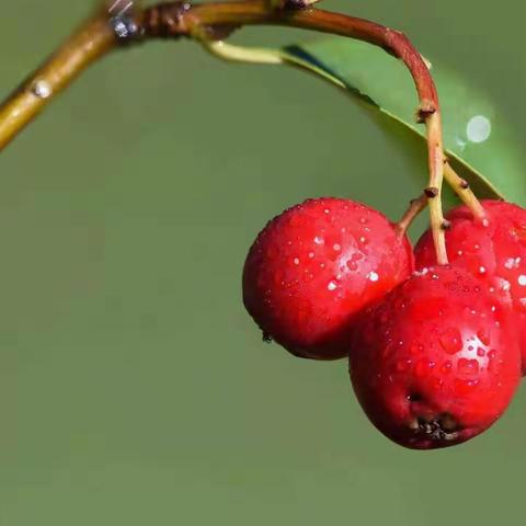 简单的生活，简单的幸福！