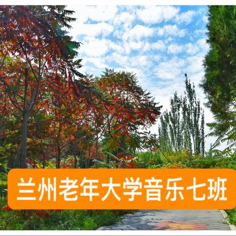 音乐七班线上课堂美篇🎬