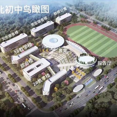 城北初中七年级学生分班情况