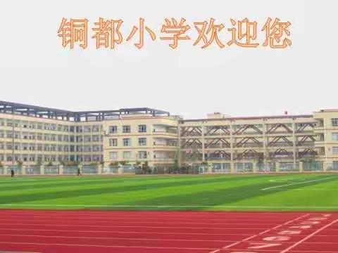 潜学精研铸匠心，任重道远培桃李                                 ——2020年个人工作总结