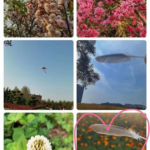 脱贫攻坚，孩子眼中的“变化”有多大——油田四小二三中队   我读书我快乐社团