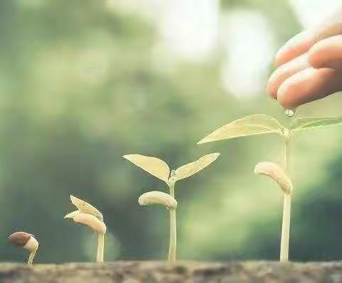 裕华西路小学一年级2班 手拉手活动《清除垃圾归还绿色—爱劳动》