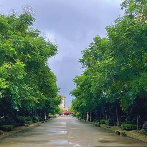 管好服务，托起明天的太阳