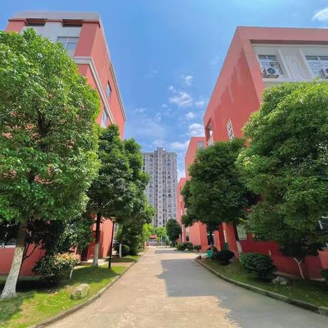 教以严 学以勤 动以彩 洁以律