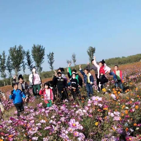 寻找秋天，拥抱自然——青先小学秋游活动