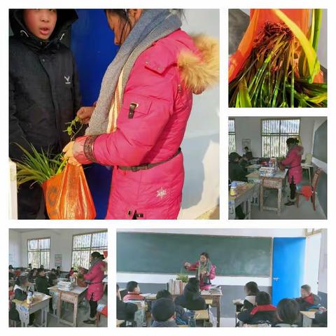 兰香入室，陋室飘香——记一次与众不同的“颁奖典礼”