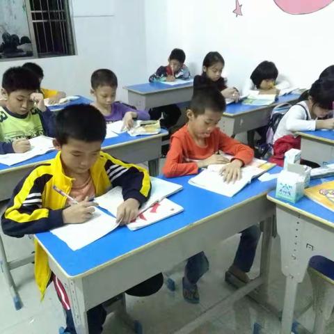 乐学教育在春天里与你不见不散