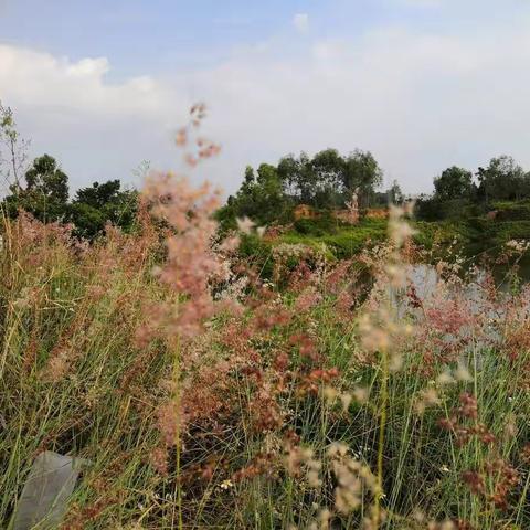 RR唏芸兮的美篇