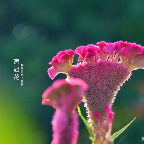 【近代诗】：华夏祥云浩太空（诗、词九首）