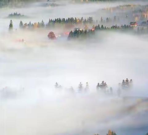 【现代诗】：雾景