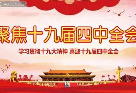 德岭山镇传达学习十九届四中全会精神