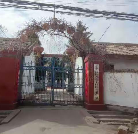 怀念我的母校——凤尾小学