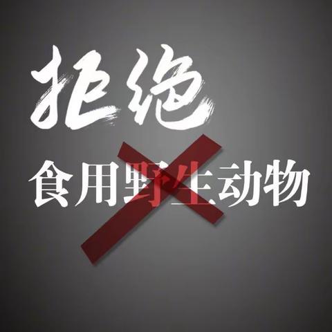 杜绝“致命饕餮”谨防“病从口入”——汪川镇中心小学在行动