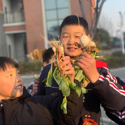 茶宝过元旦，生活小能手