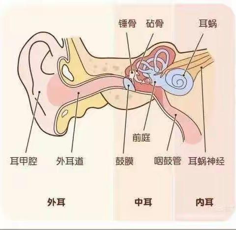 “健康用耳，快乐成长”——市直金堤幼儿园爱耳日主题教育活动