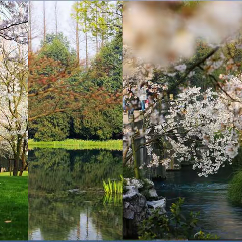 【小冈初级中学】关注植树活动，践行生态文明