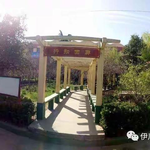 白元镇中“停课不停学”线上教学优秀教师及在线优秀学习标兵评选（第七季）