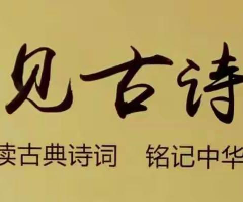 诵读古诗文 感悟中华魂—平城区第四十一小学校古诗词大赛