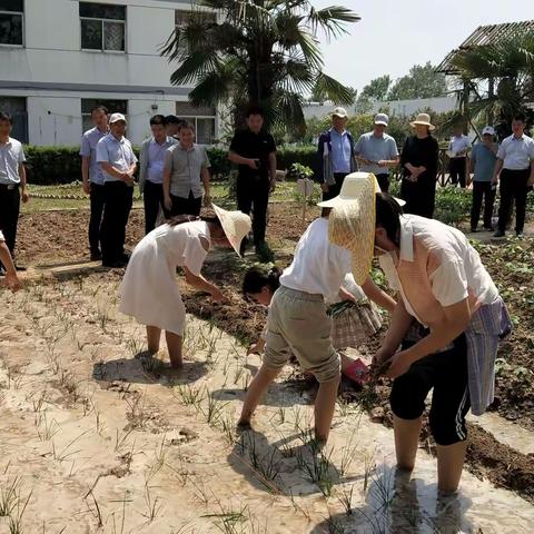 在校园里诗意地徜徉——淮安市郑小琴校长工作室走进韩圩小学