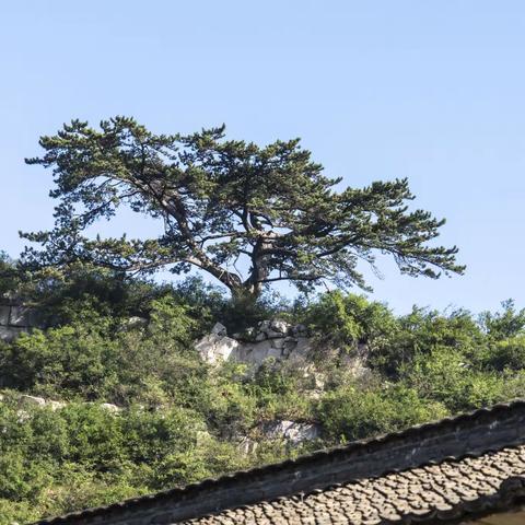 丹河旁系——神秘的黄三河