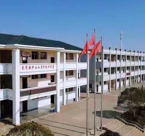 高安市龙潭镇中心小学转发高安市教育体育局关于全省民办学校问题政策法规告知书