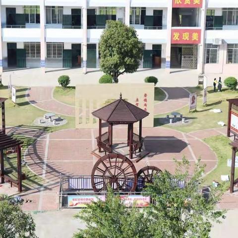 弘扬生态文明，共建绿色校园--记凤凰镇中心小学“绿色校园”创建工作