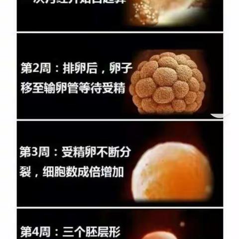 孕妇应该知道，宝宝在肚子里最怕什么