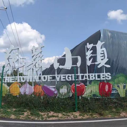 大荔县韦林镇党委副书记、镇长聂涛带队前往咸阳市考察蔬菜产业项目