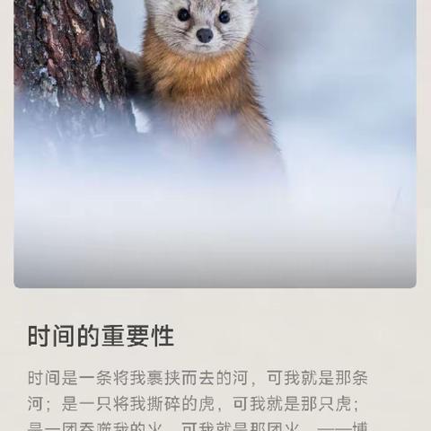 写给孩子们的话