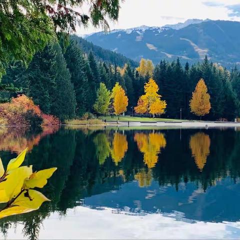 【花般美好】🍀 一路有你，一路是风景—天水苑幼儿园中三班