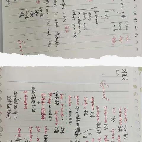 导图整理课文知识点（优秀作品展）