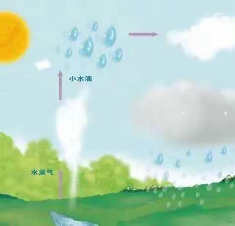 赵各庄学区李各庄幼儿园——雨的秘密