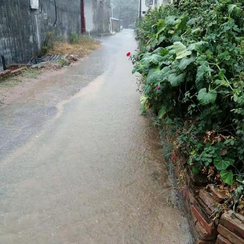 2022.8.22雨又见山里洪