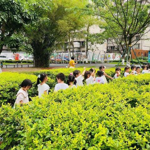 “我已经长大了”—洪雅县康才儿幼儿园第二届独立夜活动