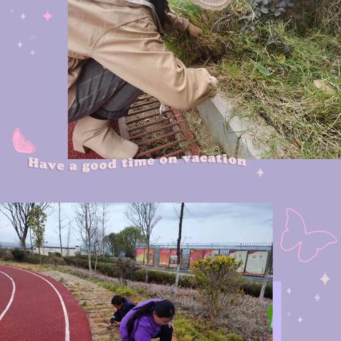 践行劳动教育 ，共建美丽校园